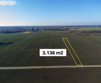 Sale Agrarian and forest land, Agrarian and forest land, Malacky, Slov