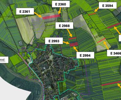 Sale Agrarian and forest land, Agrarian and forest land, Malacky, Slov