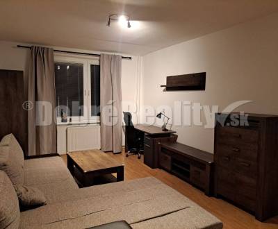 Rent One bedroom apartment, One bedroom apartment, Šafárikova, Šaľa, S