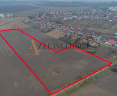 Sale Land – for living, Land – for living, Dunajská Streda, Slovakia