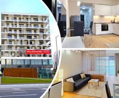 Rent Studio, Studio, Prístavná, Bratislava - Ružinov, Slovakia