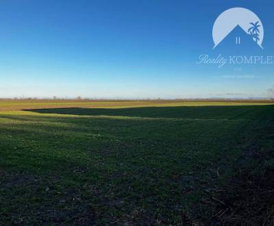 Sale Land – for living, Land – for living, Okoličná na Ostrove, Komárn