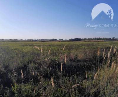 Sale Land – for living, Land – for living, Okoličná na Ostrove, Komárn