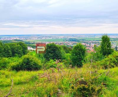 Sale Land – for living, Land – for living, Pezinok, Slovakia