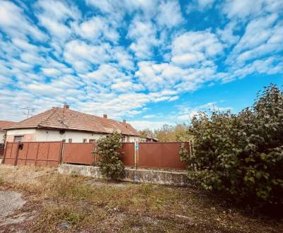 Sale Family house, Family house, Dunajská Streda, Slovakia