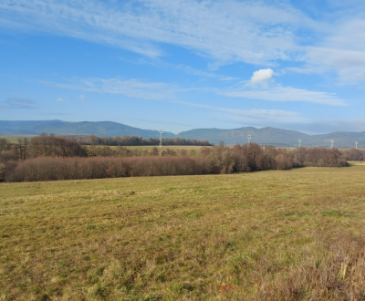 Sale Recreational land, Recreational land, Žiar nad Hronom, Slovakia