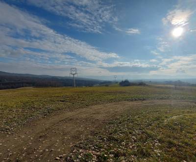 Sale Agrarian and forest land, Agrarian and forest land, Žiar nad Hron