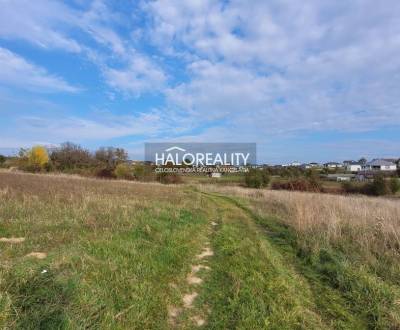 Sale Land – for living, Nitra, Slovakia