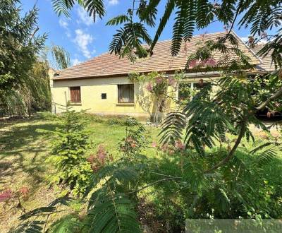 Sale Family house, Family house, Dunajská Streda, Slovakia