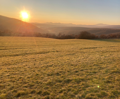 Sale Recreational land, Recreational land, Rovná, Zlaté Moravce, Slova