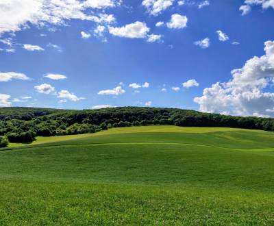 Sale Agrarian and forest land, Agrarian and forest land, Myjava, Slova