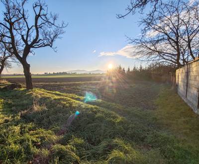 Sale Land – for living, Land – for living, Čemerné, Vranov nad Topľou,