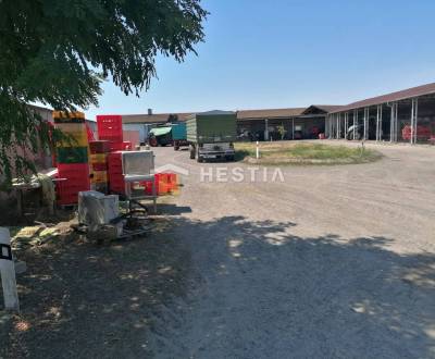 Sale Commercial premises, Commercial premises, Malacky, Slovakia