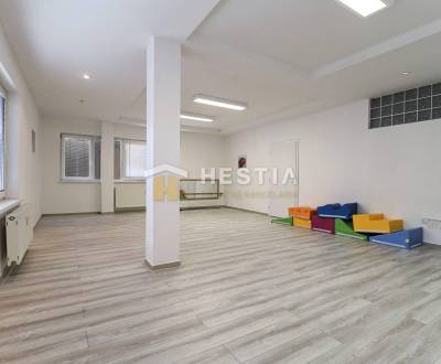 Rent Commercial premises, Commercial premises, Senica, Slovakia