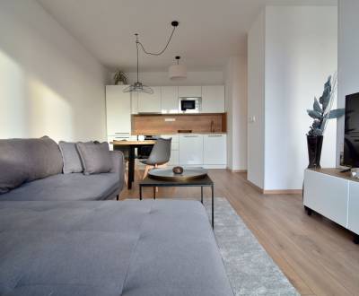 Rent Two bedroom apartment, Two bedroom apartment, Ivanská cesta, Brat