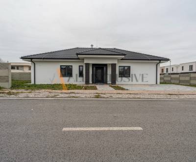 Sale Family house, Family house, ADY PARK, Dunajská Streda, Slovakia