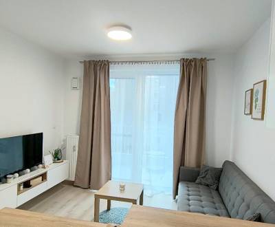 Rent One bedroom apartment, One bedroom apartment, Račianska, Bratisla