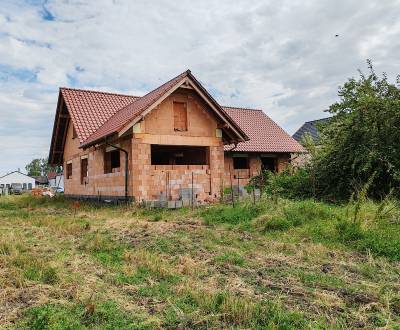 Sale Family house, Family house, Hlohovec, Slovakia