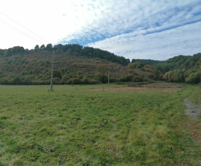 Sale Land – for living, Land – for living, Žarnovica, Slovakia