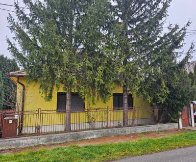 Sale Family house, Family house, Dunajská Streda, Slovakia