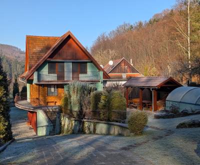 Sale Family house, Family house, Žarnovica, Slovakia