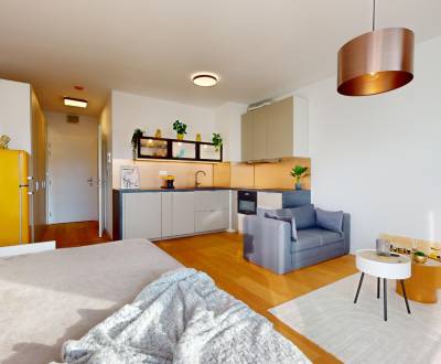 BA IV-Rent a modern furnished 1-room apartment in the new building 