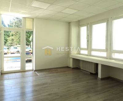 Rent Commercial premises, Commercial premises, Senica, Slovakia