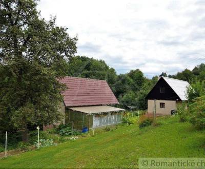 Sale Cottage, Cottage, Detva, Slovakia