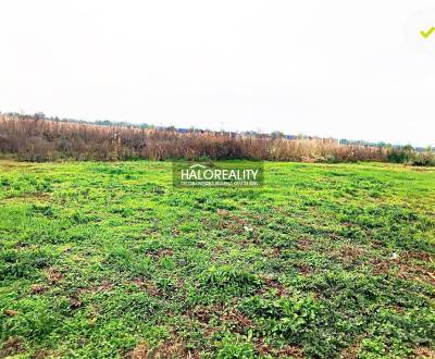 Sale Land – for living, Senec, Slovakia