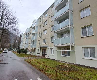 Sale Two bedroom apartment, Two bedroom apartment, Štefana Moyzesa, Ru