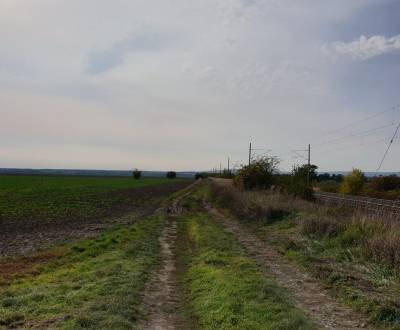 Sale Agrarian and forest land, Agrarian and forest land, Pezinok, Slov