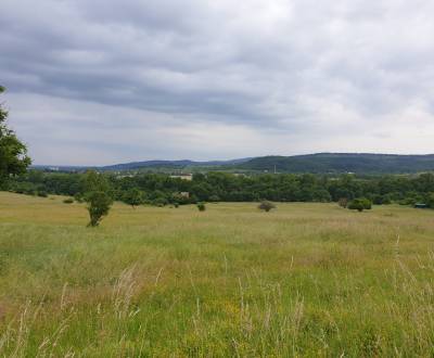 Sale Agrarian and forest land, Agrarian and forest land, Trnava, Slova