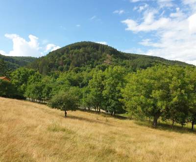 Sale Agrarian and forest land, Agrarian and forest land, Piešťany, Slo