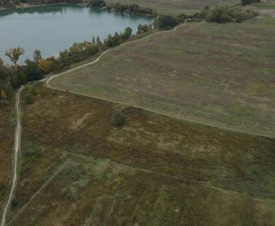 Sale Agrarian and forest land, Agrarian and forest land, Hviezdoslavov