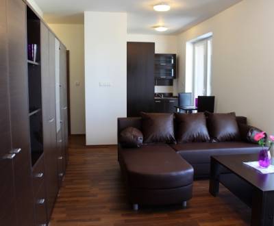 Rent One bedroom apartment, One bedroom apartment, Žltá, Bratislava - 