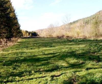 Sale Land – for living, Land – for living, Detva, Slovakia