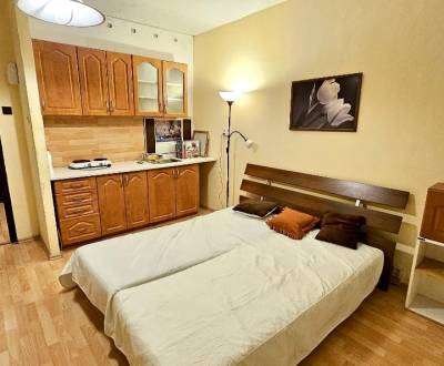 Rent Single studio, Single studio, Gessayova, Bratislava - Petržalka, 