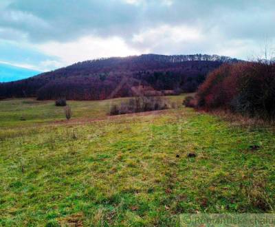 Sale Agrarian and forest land, Agrarian and forest land, Nové Mesto na