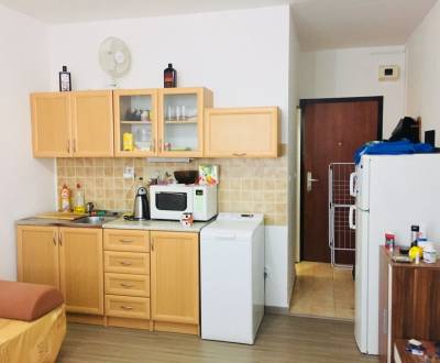 Rent Single studio, Single studio, Hollého, Hlohovec, Slovakia