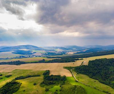 Sale Agrarian and forest land, Agrarian and forest land, Svidník, Slov