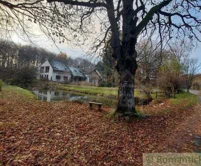 Sale Family house, Family house, Malacky, Slovakia