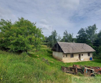 Sale Cottage, Cottage, Myjava, Slovakia