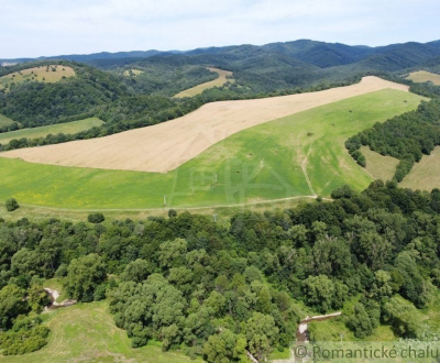 Sale Agrarian and forest land, Agrarian and forest land, Snina, Slovak