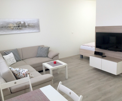 Rent One bedroom apartment, One bedroom apartment, Lužná, Bratislava -