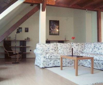 Rent Three bedroom apartment, Three bedroom apartment, Grösslingova, B