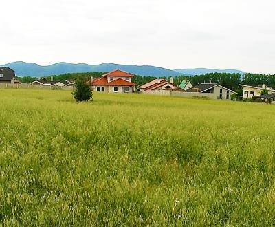 Sale Land – for living, Land – for living, Centrum, Trnava, Slovakia