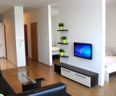 Rent One bedroom apartment, One bedroom apartment, Kaštielska, Bratisl