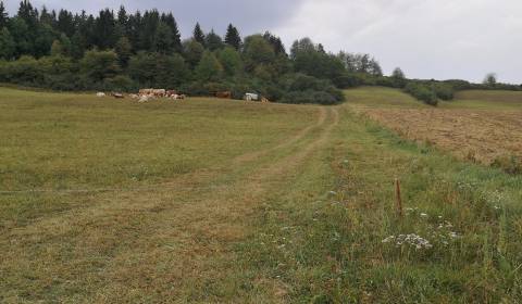 Recreational land, Sale, Žilina, Slovakia