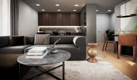 One-bedroom apartment 2-2.3 in Project VILLA RUSTICA - TERASY II.Stage