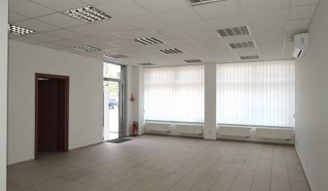 Rent Commercial premises, Commercial premises, Drieňová, Bratislava - 